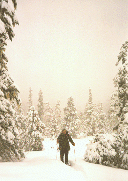 author on his trapline