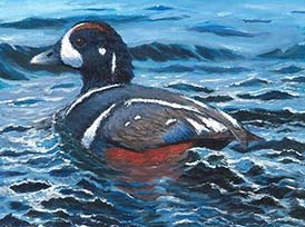 2019 Junior Duck Stamp