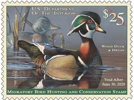 2019 Federal Migratory Bird Hunting Stamp