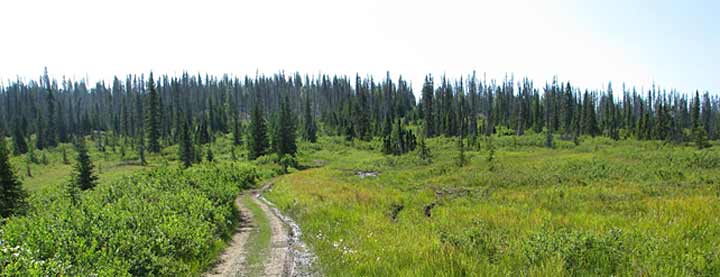 Anchor River/Fritz Creek Habitat Area