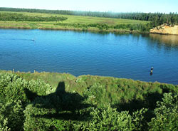 Angler fishes the Alagnak River while the shadow of an overhead plane is cast on the nearby trees