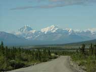 boreal forest