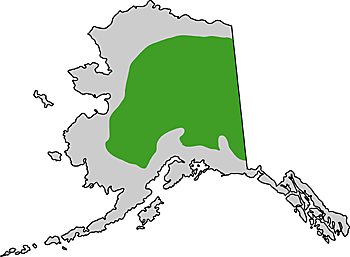 Map of Alaskan boreal forest regions
