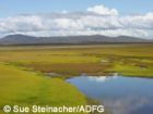 precipitation on the tundra