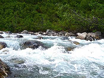 In a stream, flowing