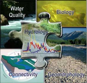 Five Core Riverine Components