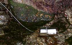 photo of temperature recording device