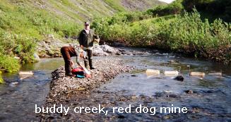 Buddy Creek, Red Dog Mine