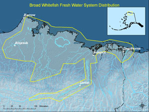 distribution map