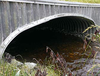 Goose Creek culvert after replacement.