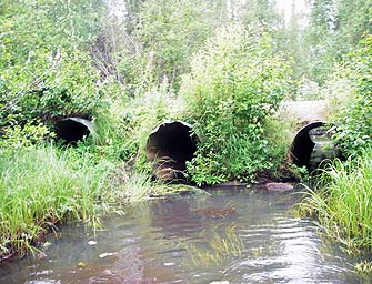 Goose Creek culvert before replacement.