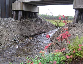 Sunshine Creek culvert after replacement.