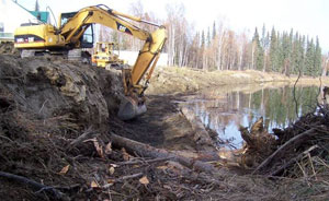 Fairbanks project