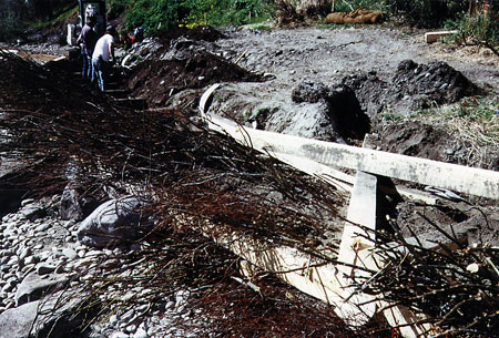 Vegetated Cribbing project under construction