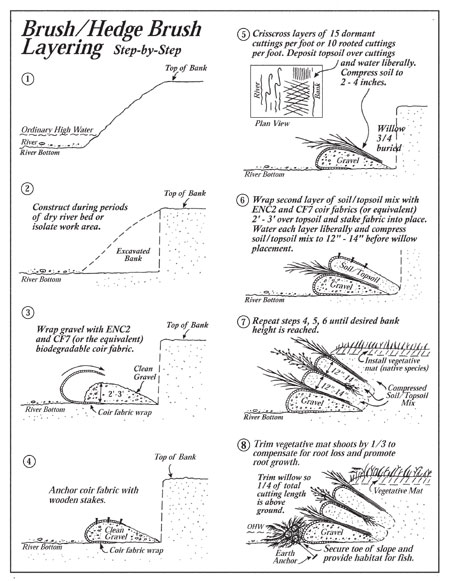 Hedge/Brush Layering