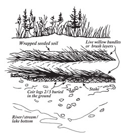 Coir log placement