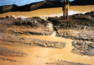 Erosion control at Centennial Park