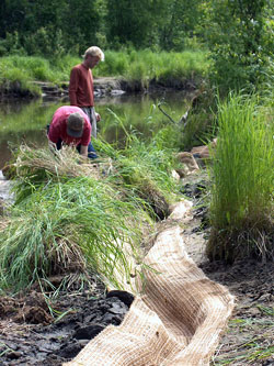 Grass roll installation