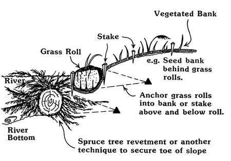 Drawing of grass roll