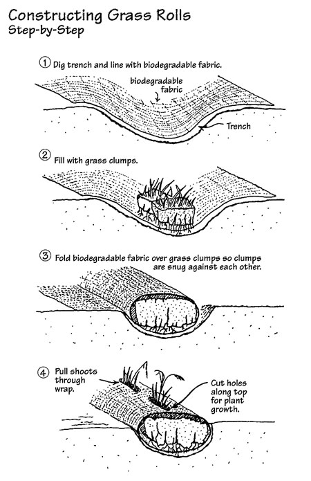 Grass roll techniques