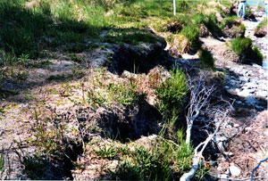 Bank erosion on Kenai River