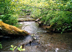 Crescent River drainage