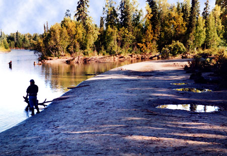 Trampled bank at the mouth of Willow Creek