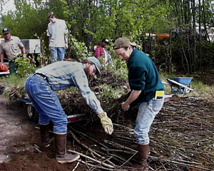 Placing a veg mat