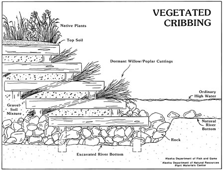 Vegetated cribbing