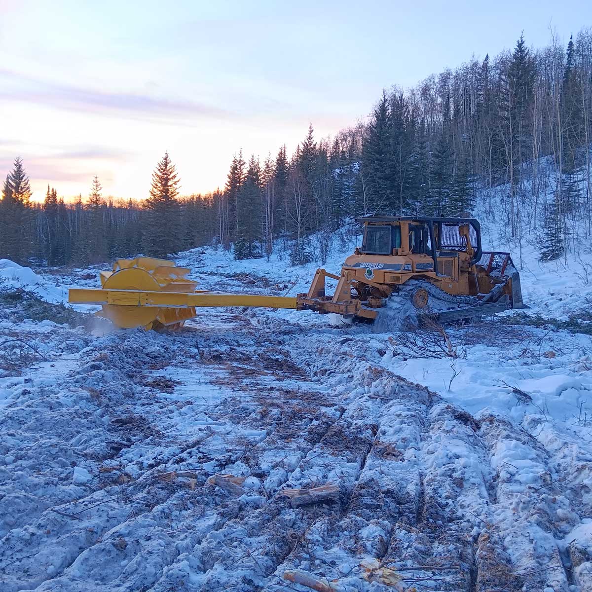 Nenana Ridge treatment with roller-chopper - Alaska Department of Fish and Game (ADFG)