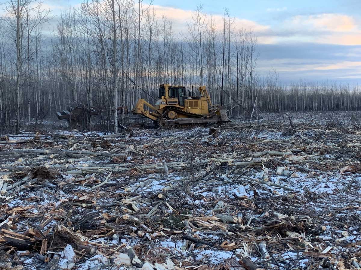 Treatment with roller-chopper in Tok - Alaska Department of Fish and Game (ADFG)