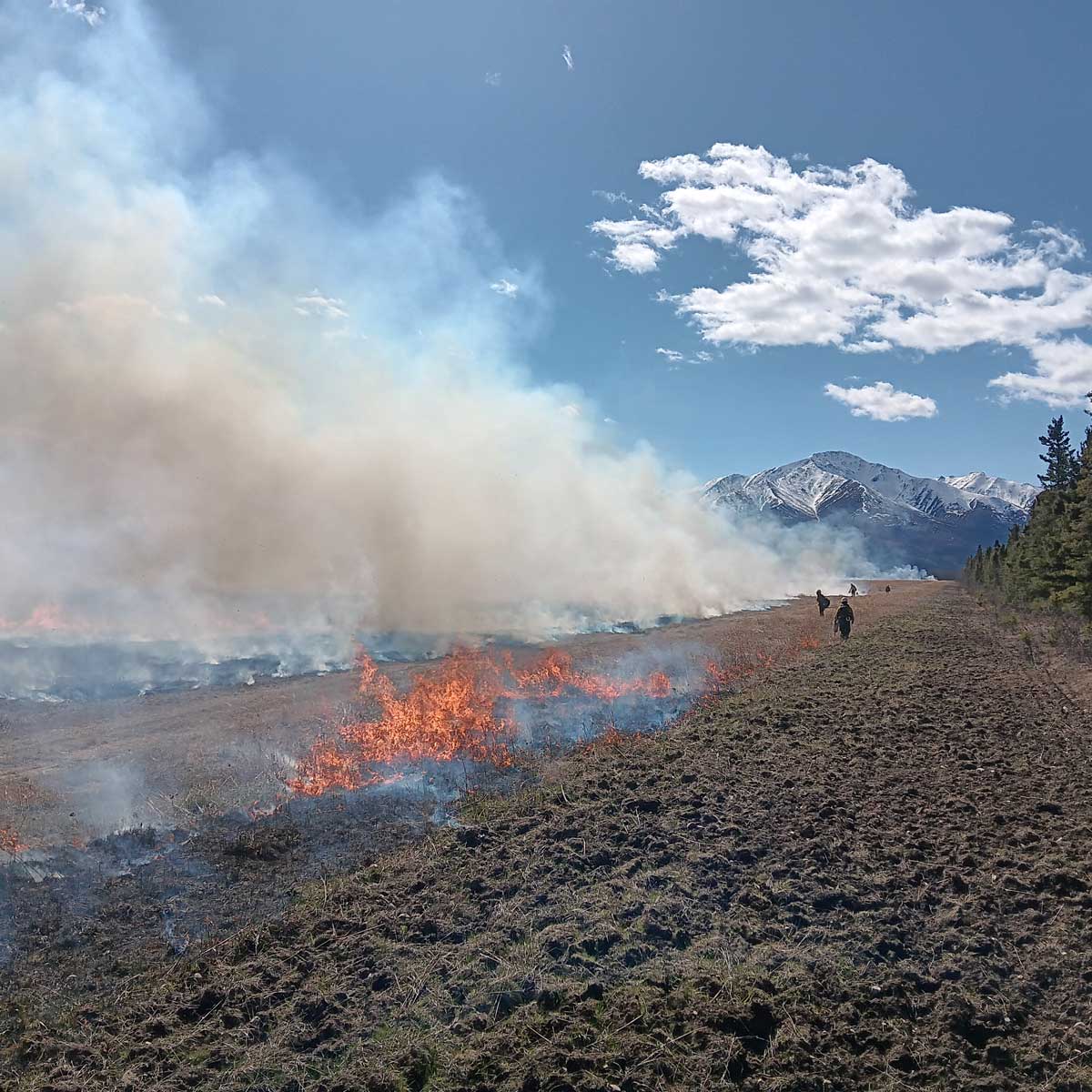 Prescribed fire on the Delta Junction Bison Range - Alaska Department of Fish and Game (ADFG)