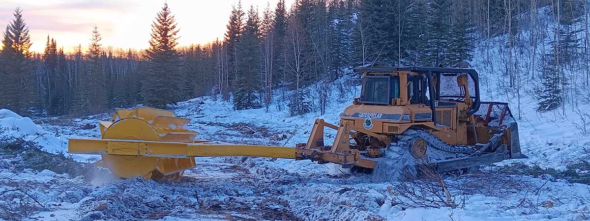 Mechanical Treatment on the Nenana Ridge in 2024 - Alaska Department of Fish and Game