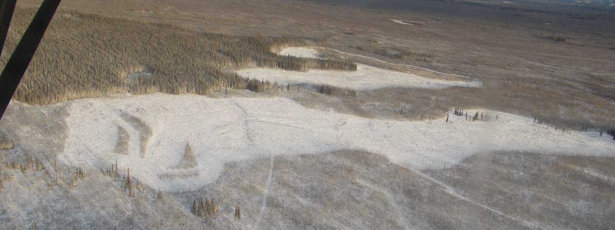 Aerial view of Tok River Grouse project - Alaska Department of Fish and Game