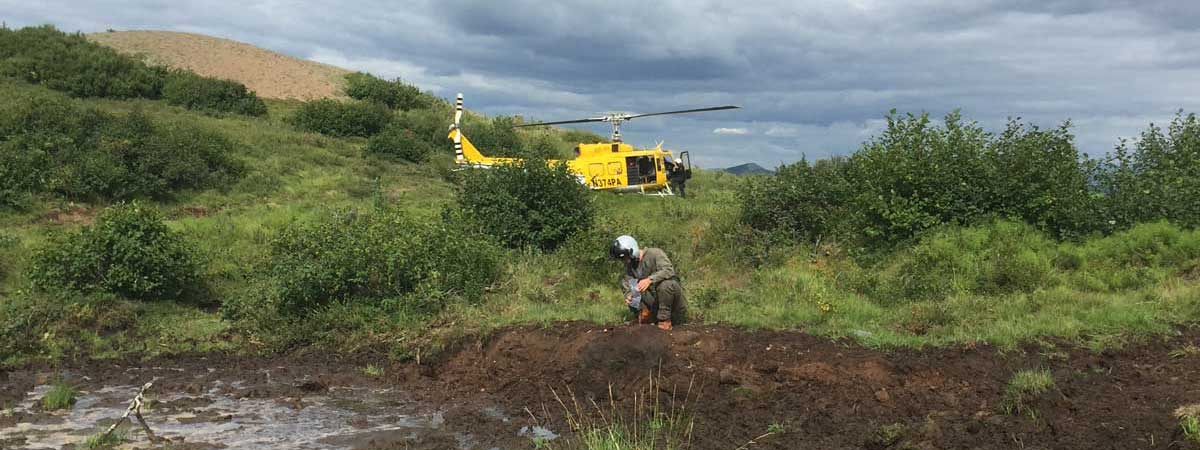 Bison wallow near Farewell, AK - Alaska Department of Fish and Game