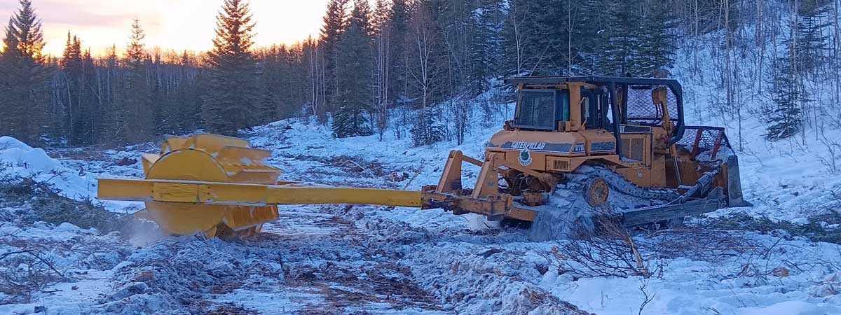 1 dozer with roller-chopper, 2024 Nenana Ridge aspen project - Alaska Department of Fish and Game