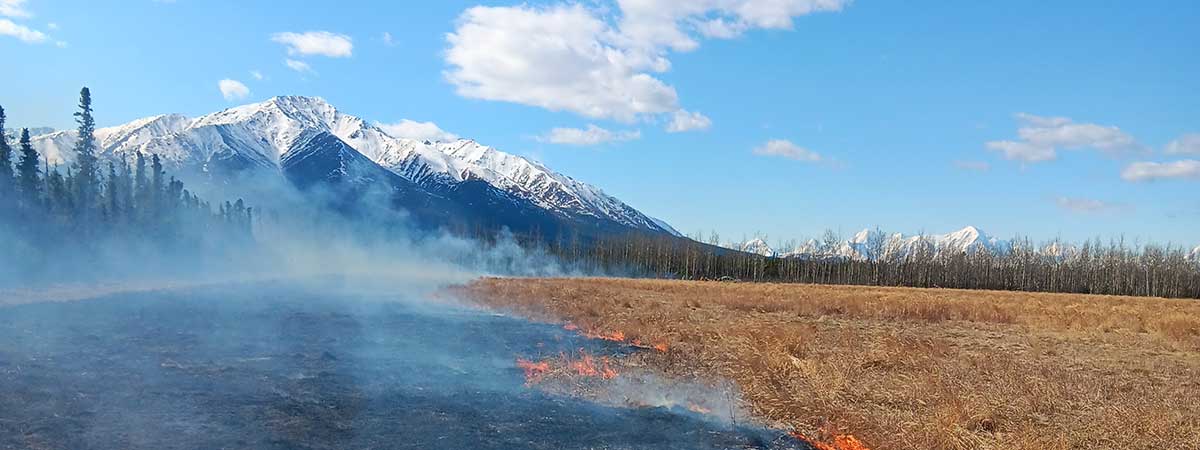 Rx fire with mountain - Alaska Department of Fish and Game