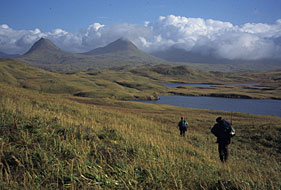 hikers travel through the grass