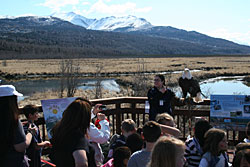 Group of people standing around a woman with a bald eagle on her wrist