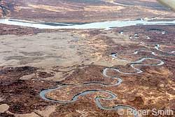 Photo of Cinder River Critical Habitat Area