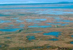 Photo of Pilot Point Critical Habitat Area