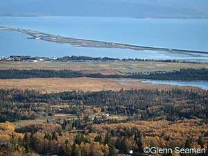 Homer Airport