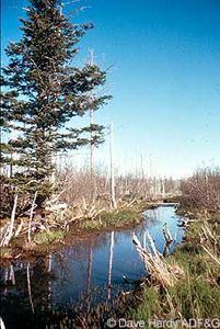 Yakataga State Game Refuge