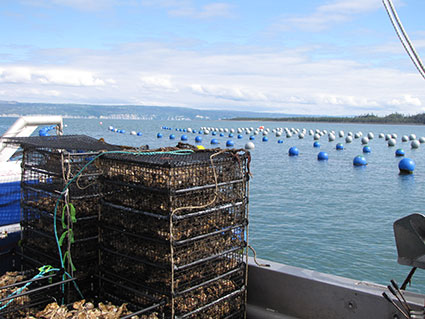 Photo of aquatic farming in Alaska