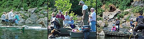 bears and people photos at Wolverine Creek