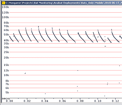 Anabat Sonogram Output