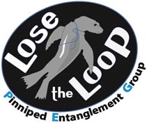 Lose the Loop Pinniped Entanglement Group Logo