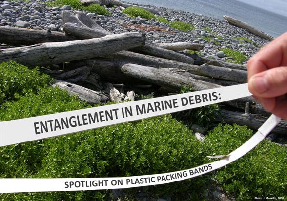 Entanglement in Marine Debris: Spotlight on Plastic Packing Bands