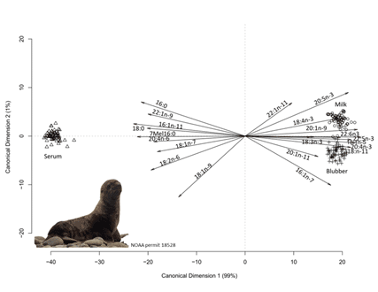 Chart showing kinds of fatty acids in steller sea lions