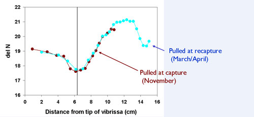 plot showing capture/recapture numbers